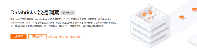 阿里云-Databricks 数据洞察