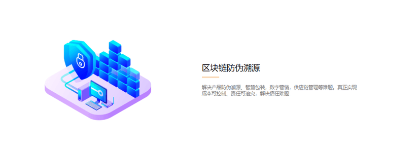 国信安链