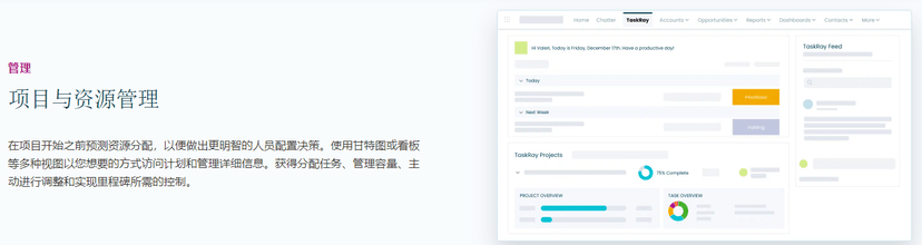 TaskRay