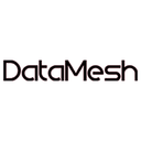 DataMesh Director