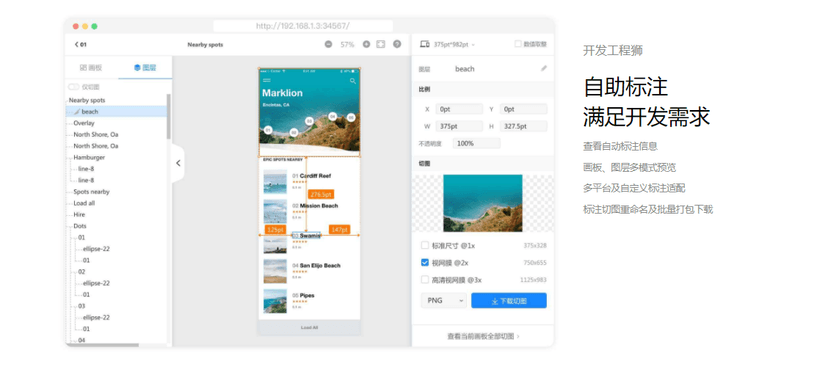 标记狮