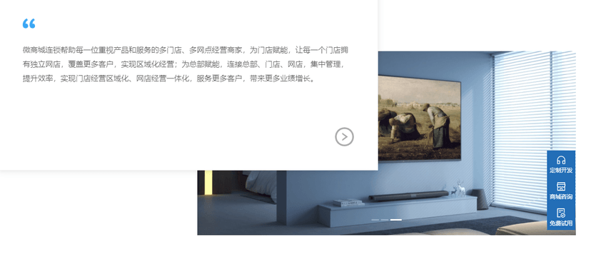 蓝掣商城