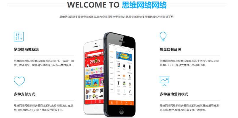 WISE思维网络