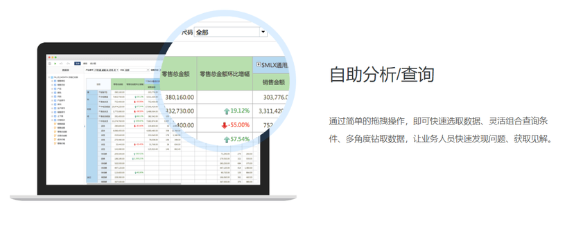 赛思BI