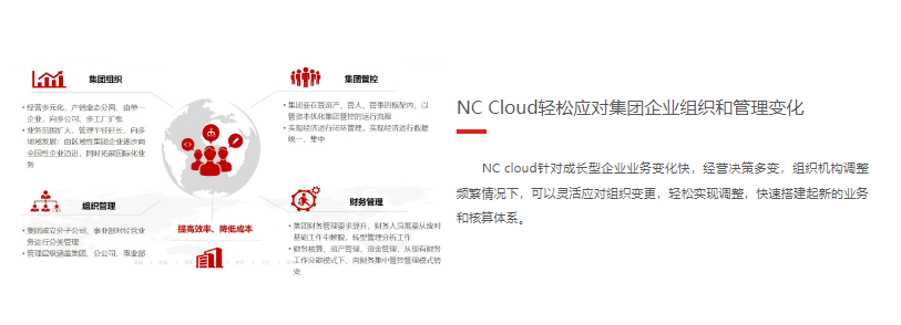 利诚伟业-用友NC cloud