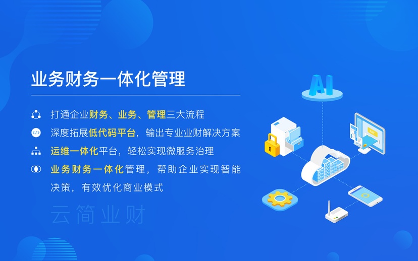 云简业财
