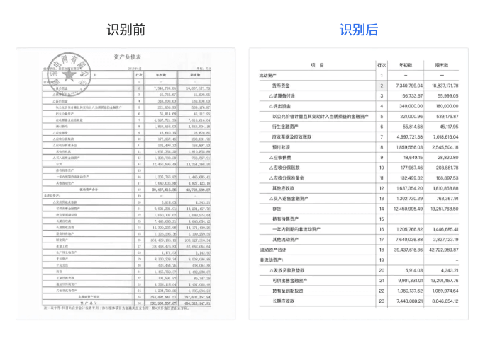 庖丁科技-AutoDoc金融文档智能审核系统