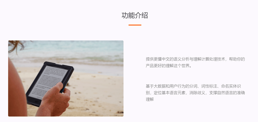 谛听自然语言处理