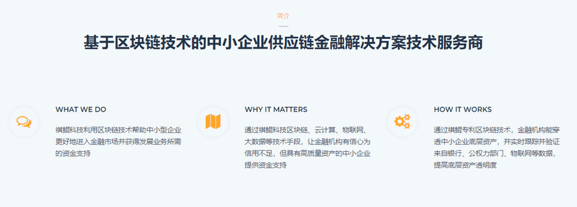 BRAVOWHALE祺鲲科技